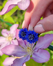 Load image into Gallery viewer, Set Corn flowers
