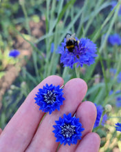 Load image into Gallery viewer, Set Corn flowers
